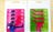 tiny multipack of gift cards image 